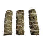 Mugwort Sage