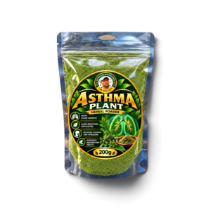 Asthma Plant Herbs